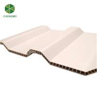 Colorful hollow corrugated twinwall pvc roof sheet